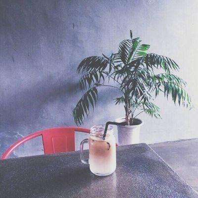 天际破私服破解版下载