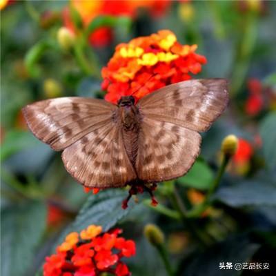 暴轰三国志游戏